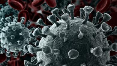 Ученые рассказали о том в каком порядке проявляются симптомы коронавируса