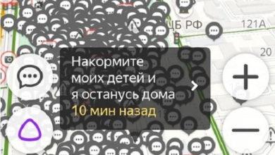 По России прокатилась волна виртуальных митингов