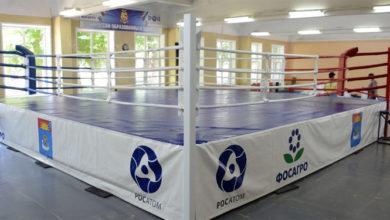 Бей первым Фредди Балаковская АЭС подарила городу боксерский ринг международного класса
