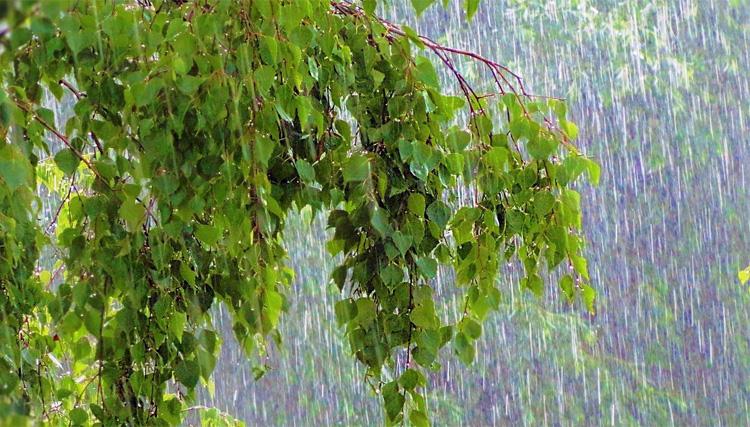 Погода в Балаково на завтра 9 июня когда закончатся дожди