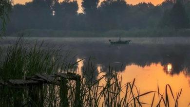 Погода в Балаково на среду вечером обещают штиль и перемену ветра