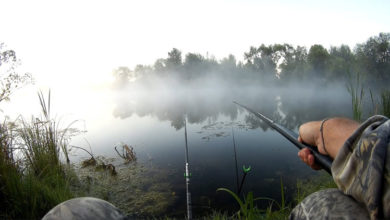 Погода в Балаково на четверг клёв обещает быть отменным