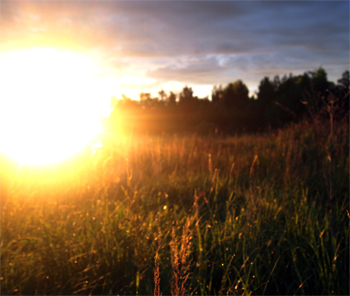 Погода в Балаково на вторник целительное солнце и маньяки в полях