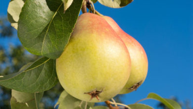 Погода в Балаково на понедельник чего лучше не делать в этот день