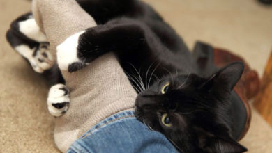 Погода в Балаково на субботу что в этот день сулит богатство и процветание