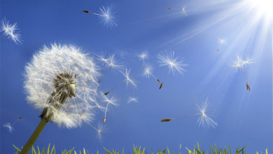 Погода в Балаково на среду ветрено но солнечно