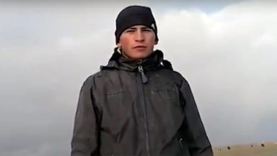 Омский студент каждый день забирается на берёзу чтобы попасть на онлайн-урок
