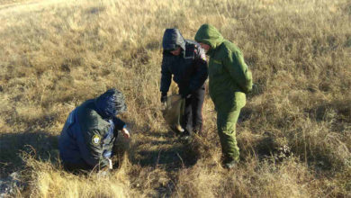Около Хлебновки в Балаковском районе нашли кости погибшей женщины