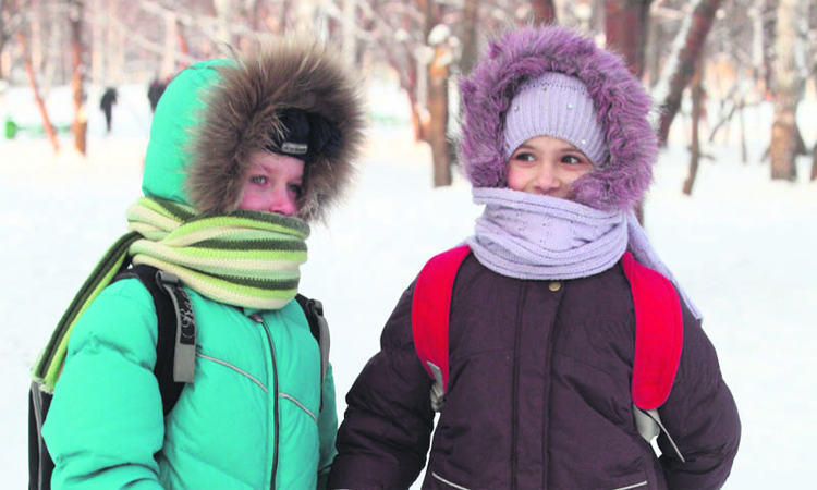 То эпидемия, то морозы в Балаково отменили занятия для младших школьников