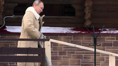 Путин искупался на Крещение в 20-градусный мороз