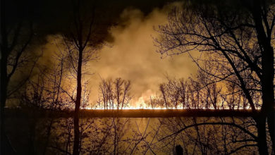 Горел камыш, деревья гнулись... В районе Красного яра вчера произошел лесной пожар