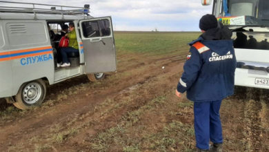 После призыва Радаева любоваться тюльпанами спасателям пришлось вытаскивать из грязи автобус с туристами