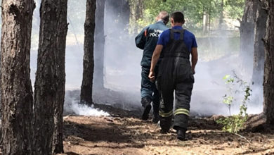 Вчера в Балаковском районе горел лес рядом с детским лагерем «Лазурный»