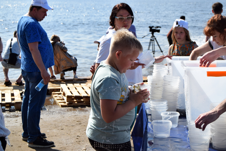 Плыви рыбка, живи Волга! «ФосАгро» поддерживает экологический баланс великой русской реки