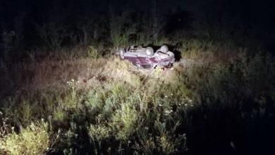 ДТП в Балаково: один автомобиль врезался в дерево, другой вылетел в кювет – оба опрокинулись