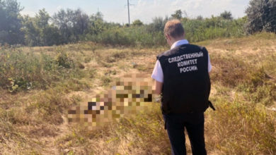 В поле у Подсосенок Балаковского района нашли скелет мужчины