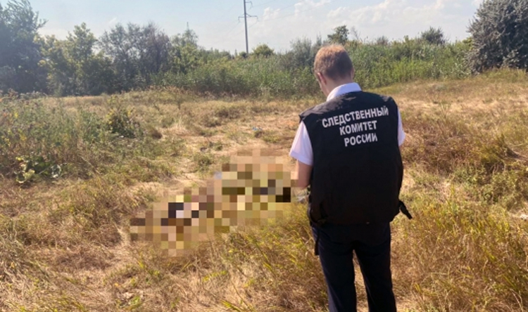 В поле у Подсосенок Балаковского района нашли скелет мужчины