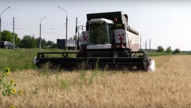 Хорошего урожая в этом году не будет: видеоновости Балаково за 21 июля