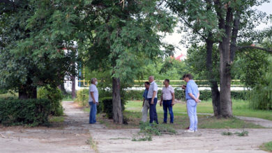 В сквере 8а микрорайона Балаково под контролем жителей высадят новые деревья