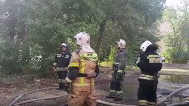 В Балаково подожгли очередной «клопятник»